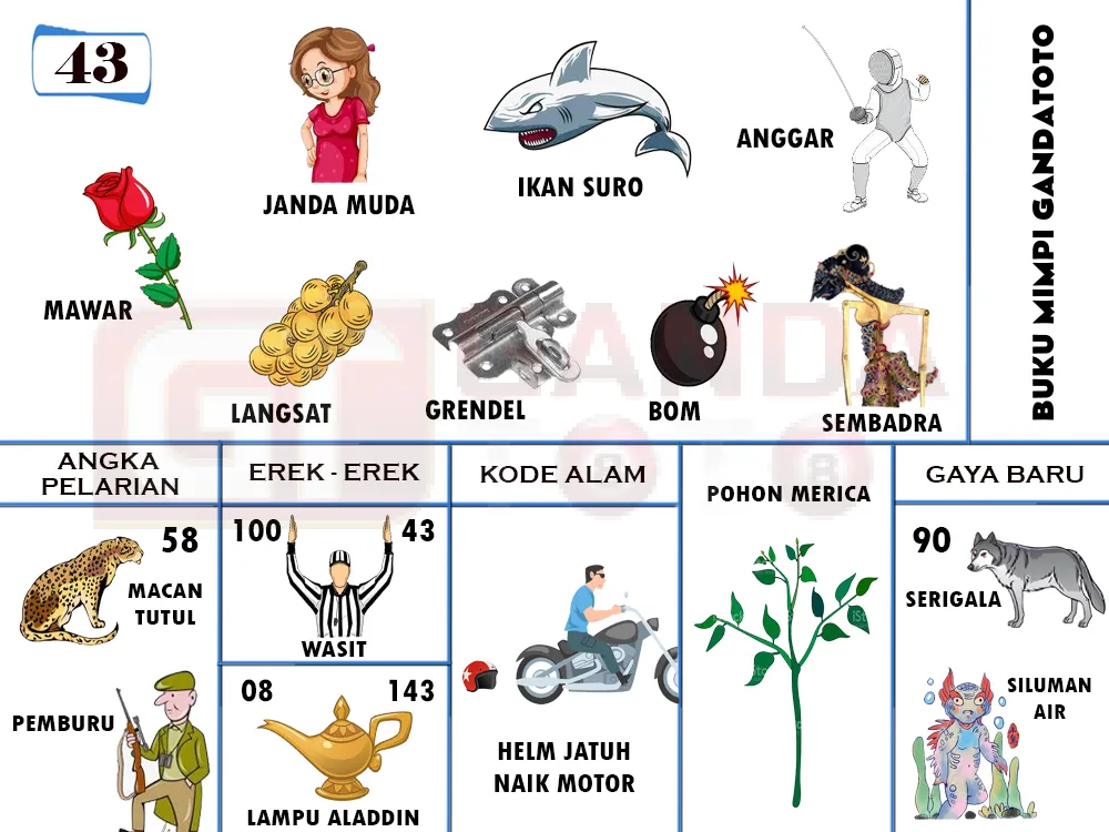 buku mimpi erek erek togel 43